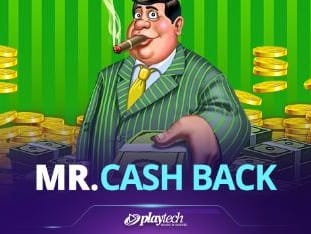 Mr. Cashback icon