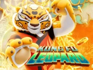 Kung Fu Leopard icon